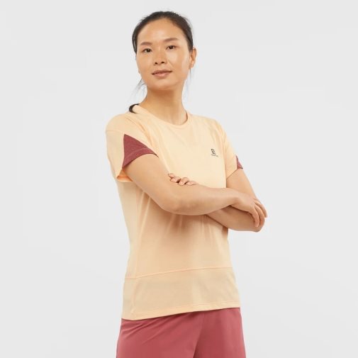 Apricot Salomon Cross Run Short Sleeve Women's T-Shirts | IE KY2978